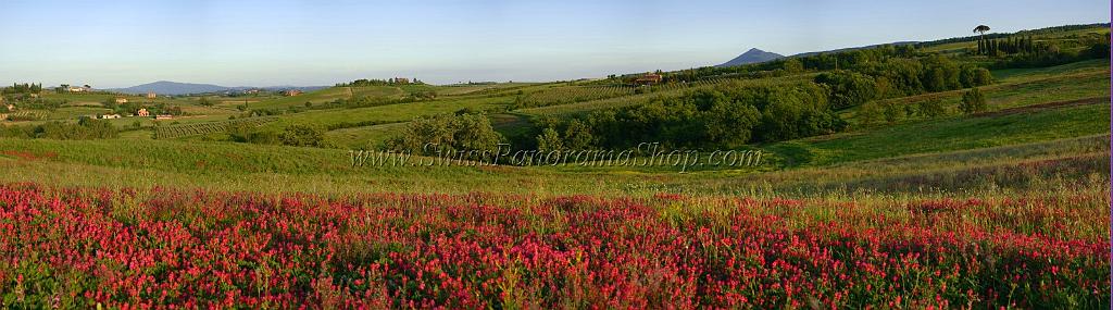 12450_12_05_2012_torrita_di_siena_tuscany_italy_toscana_italien_spring_fruehling_scenic_outlook_viewpoint_panoramic_landscape_photography_panorama_landschaft_foto_20_17025x4743.jpg
